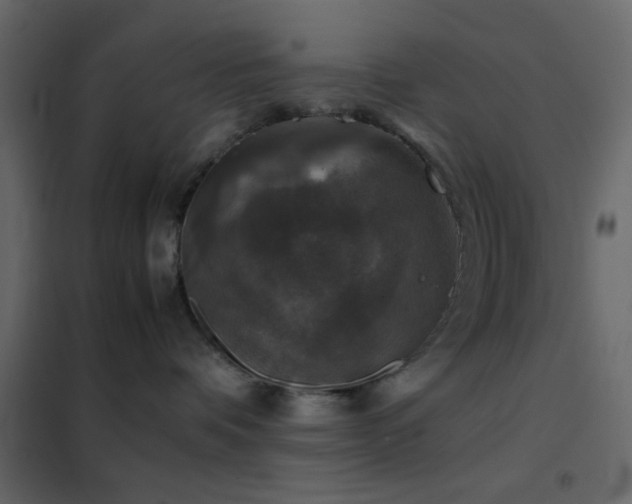 X0000102520336200808081433