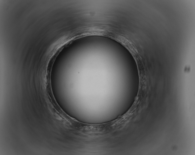 X0000102520338200808081432