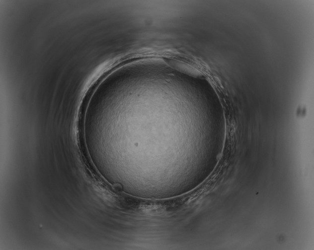 X0000102520340200808081432