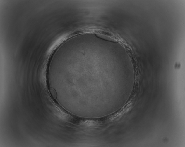 X0000102520341200808081432