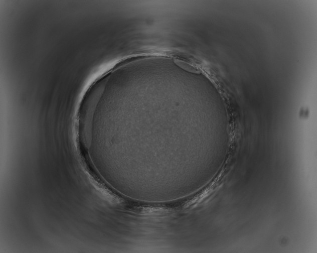 X0000102520342200808081432