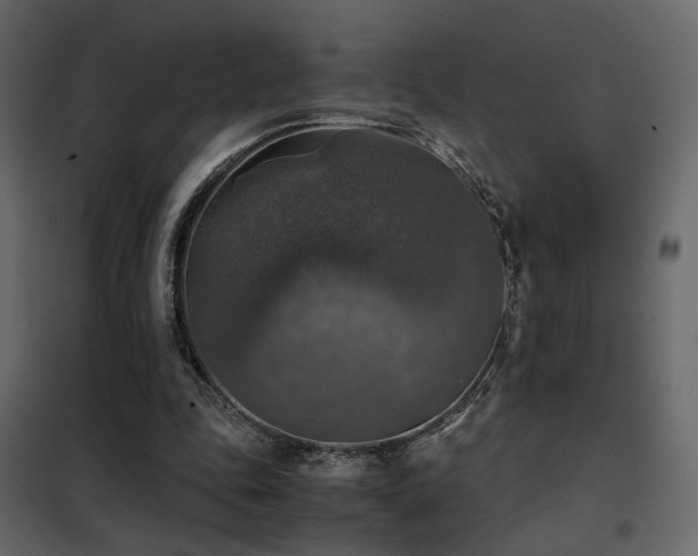 X0000102520343200808081432