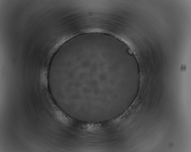 X0000102520345200808081432