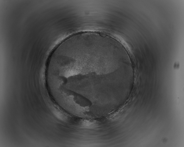 X0000102520346200808081432