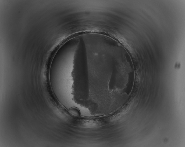 X0000102520347200808081432