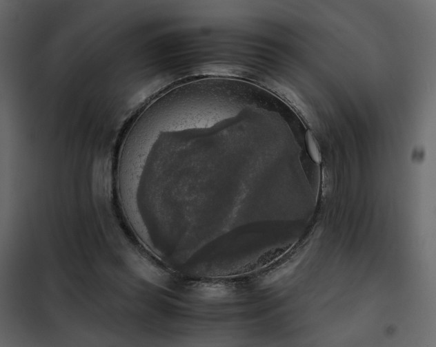 X0000102520349200808081432