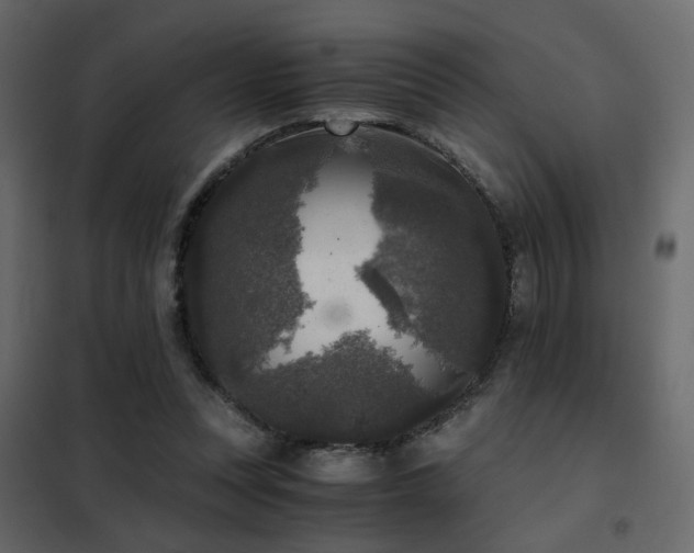 X0000102520351200808081433