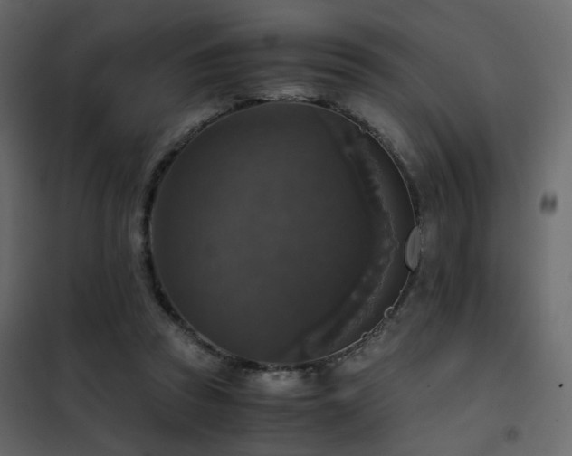 X0000102520353200808081433