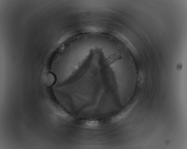 X0000102520355200808081433