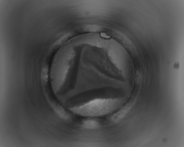 X0000102520358200808081433