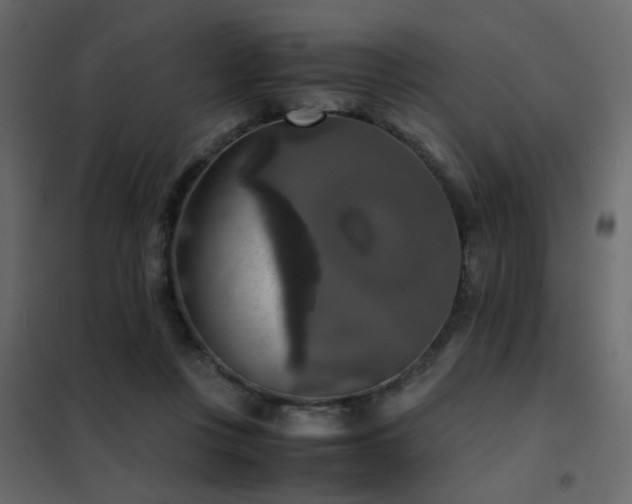 X0000102520359200808081433