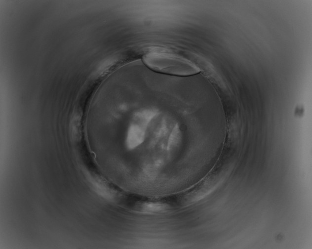 X0000102520360200808081433