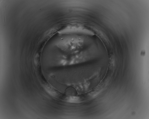 X0000102520361200808081433