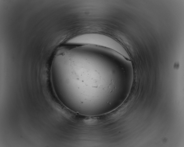 X0000102520362200808081433