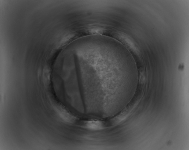 X0000102520363200808081433