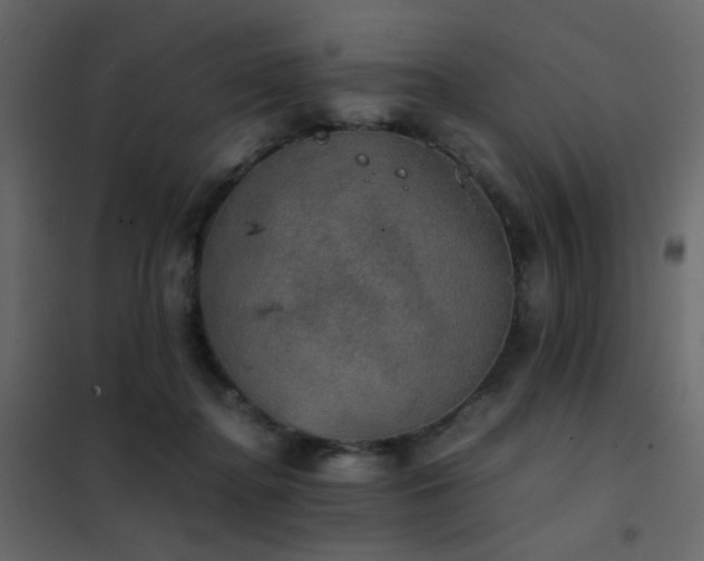 X0000102520364200808081433