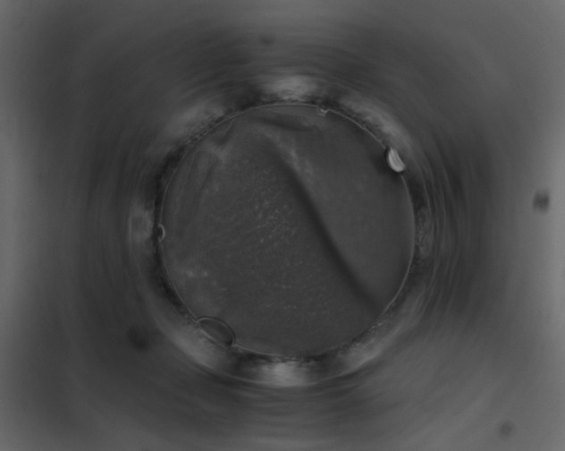 X0000102520365200808081433