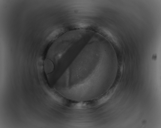 X0000102520366200808081433