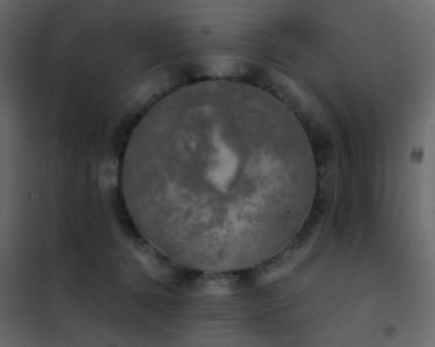 X0000102520368200808081433