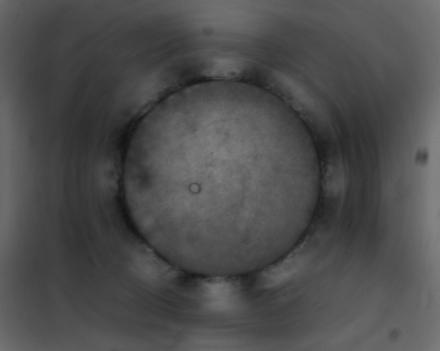 X0000102520370200808081433