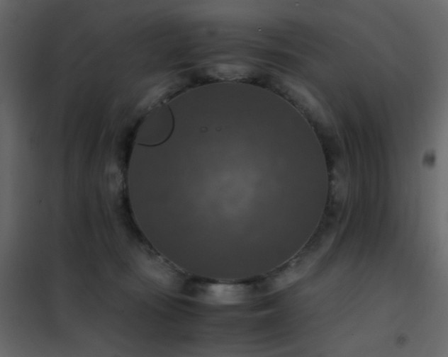 X0000102520371200808081433