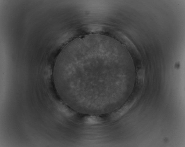 X0000102520372200808081433