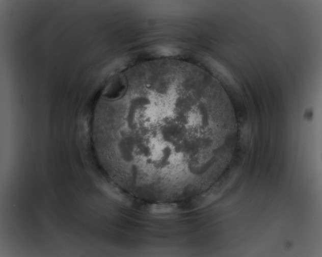 X0000102520373200808081433