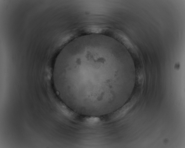 X0000102520374200808081433