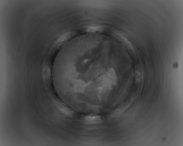 X0000102520375200808081433