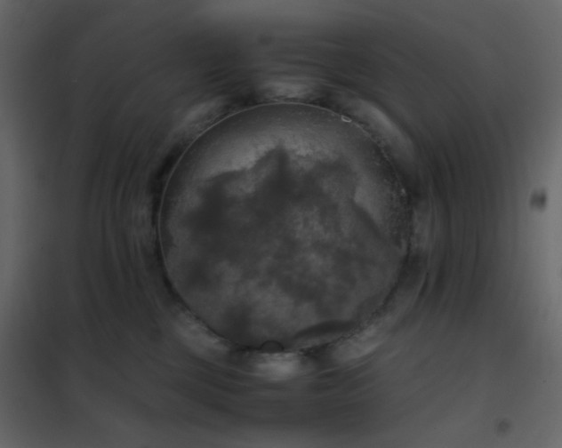 X0000102520377200808081433