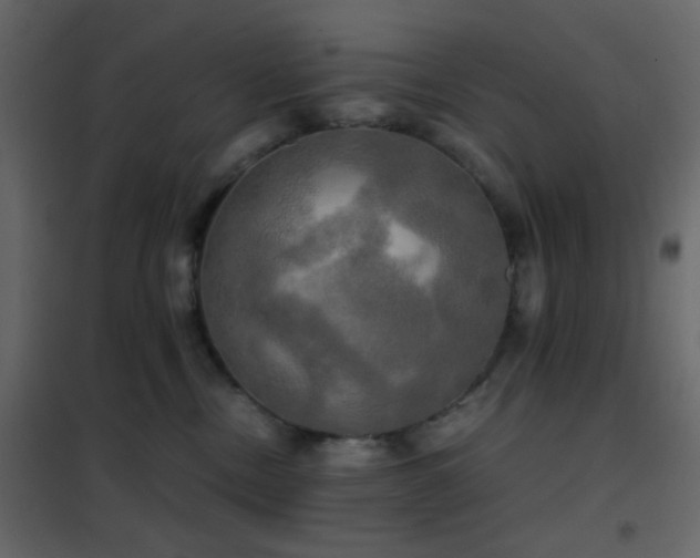 X0000102520378200808081433