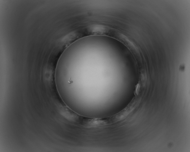 X0000102520379200808081433