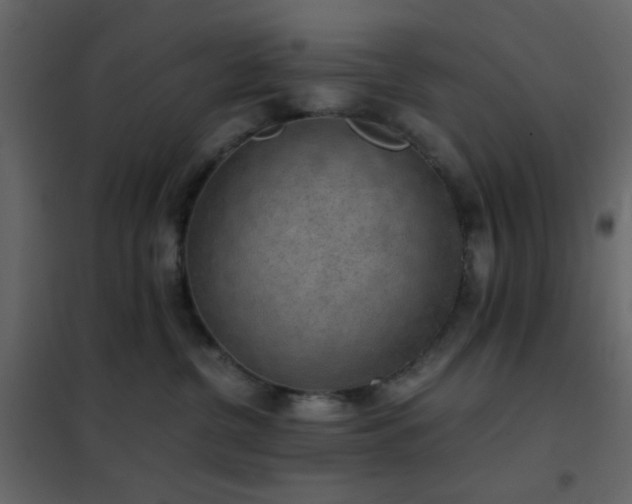 X0000102520380200808081433