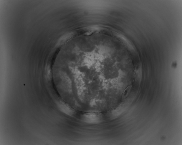 X0000102520381200808081433