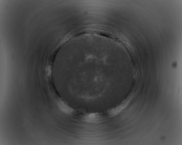 X0000102520382200808081433