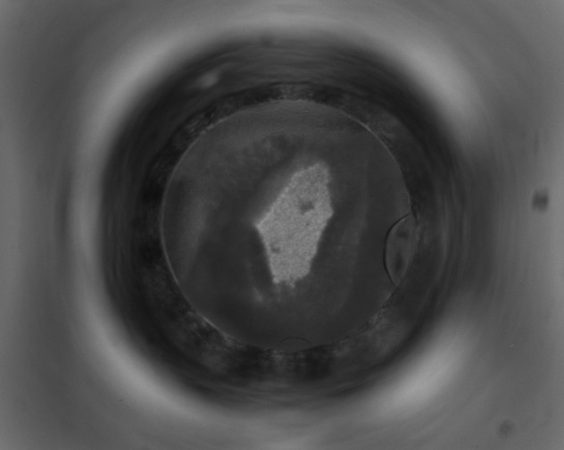 X0000102520383200808081433