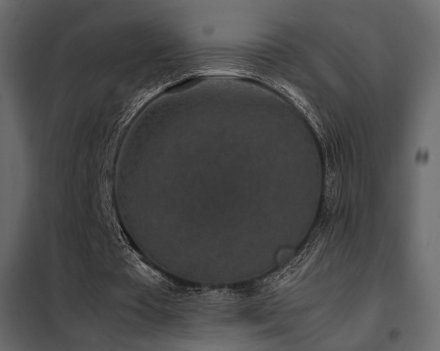 X0000102520385200808081432