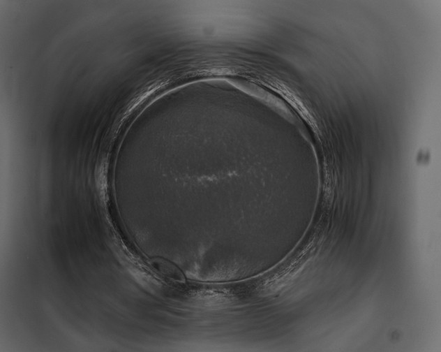 X0000102520386200808081432