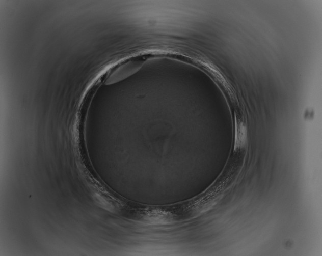 X0000102520387200808081432