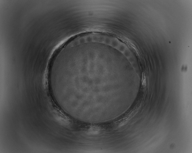 X0000102520388200808081432