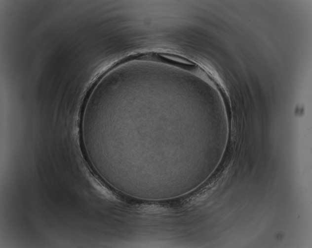 X0000102520389200808081432