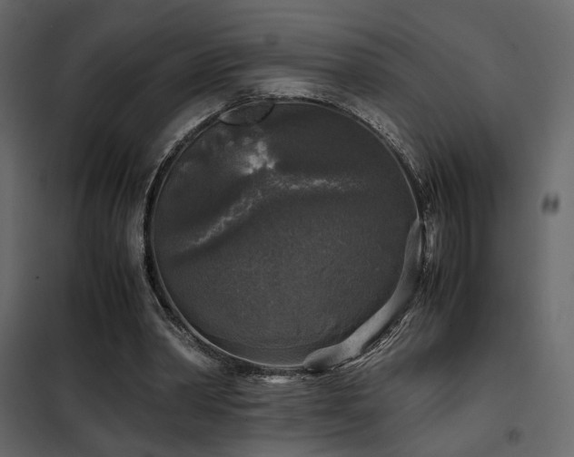 X0000102520390200808081432