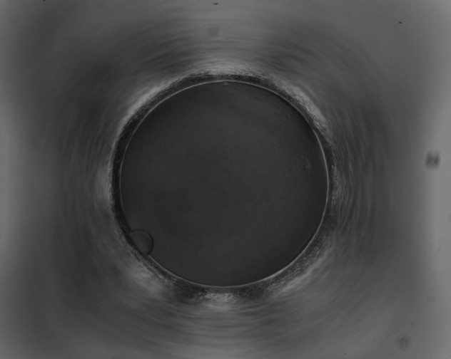 X0000102520391200808081432