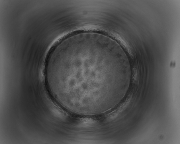 X0000102520392200808081432