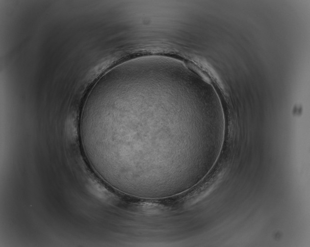 X0000102520393200808081432