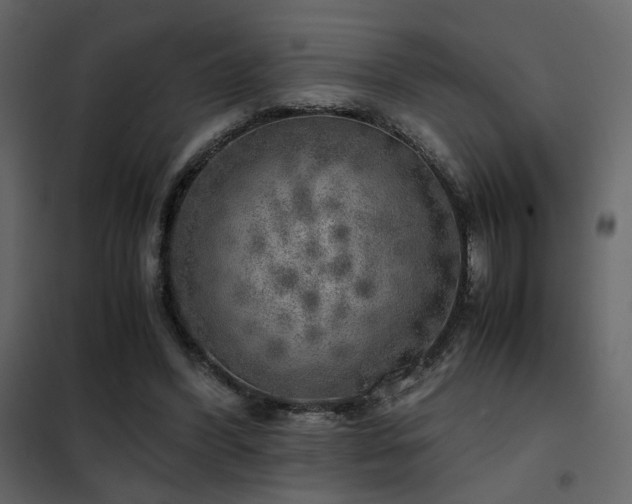 X0000102520396200808081432