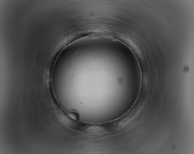 X0000102520397200808081432