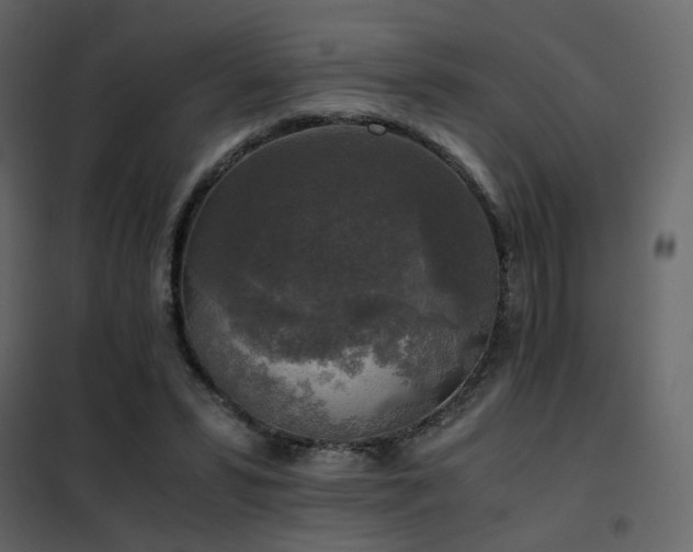 X0000102520399200808081432