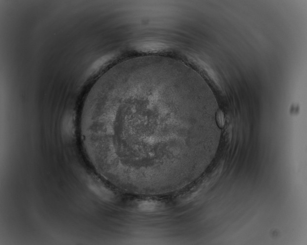 X0000102520400200808081432