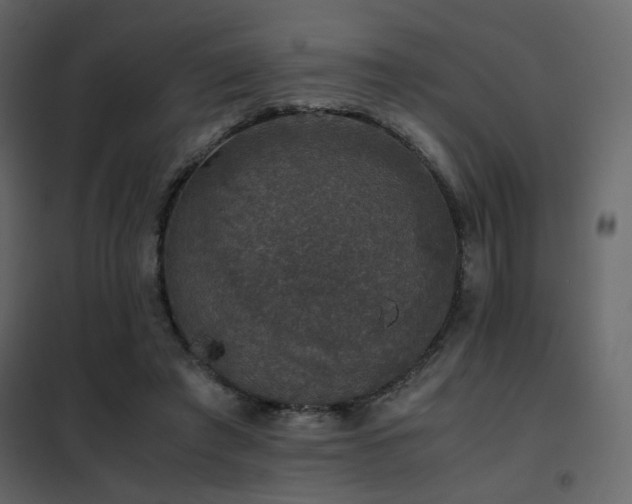 X0000102520401200808081432